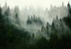 Флизелиновые фотообои зеленый лес в тумане 254 x 184 см 3D Природа Пейзаж (13026V4)+клей - изображение 2