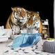 Флизелиновые фотообои про любовь 3д животные 520x318 см Два тигра на черном фоне (10173VEXXXXXL) +клей - изображение 10