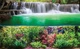 3д зеленый пейзаж флизелиновые фотообои 312x219 см Растения Рыбы и Водопад (3354VEXXL)+клей - изображение 2