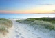 Флизелиновые фотообои морские 254x184 см 3D Океан Пейзаж Природа Песчаная дорожка на пляж (14535V4)+клей - изображение 2