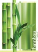 Фотошпалери на стіну 184x254 см Колаж Бамбук і листя (20411V4A) +клей - зображення 2