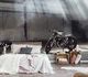 Флизелиновые фотообои в спальню мальчика 3D Мотоцикл в гараже Транспорт Индустриальный Лофт (12646V)+клей - изображение 5
