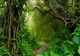 Флизелиновые фотообои в коридор 254x184 см 3D Природа Лес Тропинка в зеленых джунглях (14565V4)+клей - изображение 2