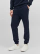 Спортивные штаны утепленные мужские Jack & Jones 12249274 L Темно-синие (5715434006799) - изображение 1
