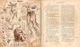 Harry Potter and the Chamber of Secrets Illustrated Edition - изображение 6