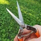 Секатор для цветов SAGAWATA WS-902, ножницы для фруктов - изображение 3