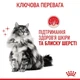Сухий корм для котів Royal Canin Hair & Skin Care 2 кг (3182550721738) - изображение 7