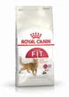 Сухий корм Royal Canin FIT для дорослих кішок 400 г (3182550702157) (2520004) - зображення 1
