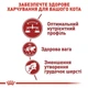 Сухий корм Royal Canin FIT для дорослих кішок 400 г (3182550702157) (2520004) - зображення 3