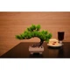 Штучна квітка в горщику Decoramo, 25*20см, (DC-110) (65671-101) - зображення 4