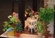 3D Румбокс "Кофейня" Кукольный Дом-Конструктор DIY Coffee Doll House от CuteBee (B07DV) - изображение 6