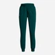 Спортивные штаны женские Under Armour Rival Hi Rise Woven Pant 1382727-449 M Зеленые (196885571176) - изображение 5
