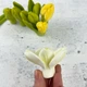 Силіконовий молд Альстромерія квітка - изображение 3