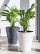 Горщик FormPlastic Sahara-40 антрацитовий Form-Plastic - зображення 2