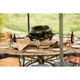 Портативний електричний гриль NAPOLEON TravelQ PRO285Е (PRO285E-BK) - зображення 7