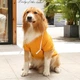 Толстовка "Rokki" Yellow Size XL - изображение 4