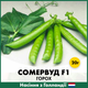 Голландське насіння Syngenta Горох Сомервуд F1 20 г - зображення 2