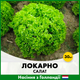 Голландские Семена Rijk Zwaan Салат Локарно, тип Лолло Биондо, 30 шт - изображение 2