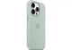 Чехол силиконовый OEM Silicone Case MagSafe для Apple iPhone 14 Pro Succulent + Подарок защитное стекло Pixel для Apple iPhone - изображение 6