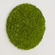 Панно з Моху - Кругла панель 33 см - Light Green - зображення 1