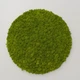 Панно з Моху - Кругла панель 33 см - Light Green - зображення 2