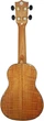 Укулеле сопрано Parksons UK21MS - зображення 2