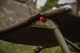 Крісло Solar Undercover Camo Guest Chair - зображення 4