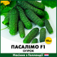 Голландские семена Syngenta Огурец Пасалимо F1 10 шт - изображение 1