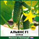 Голландские Семена Bejo Огурец Альянс F1 20 шт - изображение 1