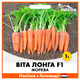 Голландские Семена Bejo Морковь Вита Лонга, 1 г - изображение 2