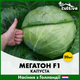 Голландське Насіння Bejo Білоголова капуста Мегатон F1 20 шт - зображення 6