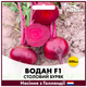 Голландские Семена Bejo Столовая свекла Водан F1, 200 шт - изображение 3