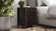 Тумба универсальная Ferrum-decor Вивьен 3 50x41x40 черный ДСП Венге 16мм (XK00150VE) - изображение 2