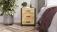 Тумба універсальна Ferrum-decor Вів'єн 3 50x41x40 чорний ДСП Дуб Артизан 16мм (XK00147) - зображення 4
