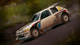Игра Sony PlayStation 4 Dirt Rally Английская Версия Б/У - изображение 2