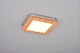 Люстра LED светодиодная потолочная Reality CAMILLUS 9W 1000lm 3000K (R62931035) на кухню, для спальни, для гостиной - изображение 2