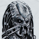 Футболка Predator Guatemala, 3XL - зображення 2