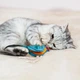 Игрушка для Котов Barksi Птичка с Колокольчиком и Перьями 12 x 10 см (3336) - изображение 3