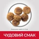 Сухий корм Hill's SP Canine Adult Small & Miniature Chicken & Turkey 300 г (604348) - зображення 3