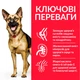 Сухий корм Hill's SP Canine Mature Adult 6+ Large breed Chicken 14 кг (604371) - зображення 3