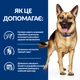 Лікувальний корм Hill's PD Canine Gastrointestinal Biome 10 кг (605996) - зображення 7