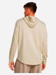Худи мужское Under Armour Ua Rival Terry Graphic Hood 1386047-273 L Бежевое (196885919954) - изображение 2