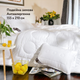Двойное зимнее одеяло IDEIA Air Dream Exclusive 155Х210 см (8-11764) - изображение 1