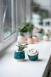 Керамический горшок для суккулентов Mini Plant 6,3х6,4см Арт Сердечки Бирюзовый - изображение 2