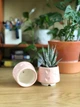 Керамічний горщик для кактусів Mini Plant 6,3х6,4см Арт Сердечка Рожевий - зображення 4