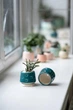 Керамический горшок для суккулентов Mini Plant 6,3х6,4см Арт Сердечки Бирюзовый - изображение 4