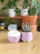 Керамический горшок для суккулентов Mini Plant 6,3х6,4см Арт Сердечки Сиреневый - изображение 6