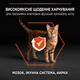 Сухой корм Purina Pro Plan Veterinary Diets ORIGINAL Adult Salmon с лососем для кошек 400 г (7613036545037) - изображение 5