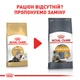 Сухой корм Royal Canin Persian Adult 2 кг (2552020) - изображение 4