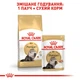Сухой корм Royal Canin Persian Adult 2 кг (2552020) - изображение 6